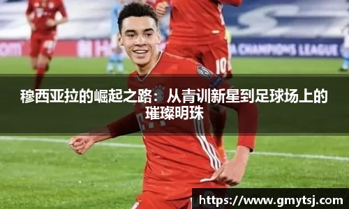 k1体育-十年品牌